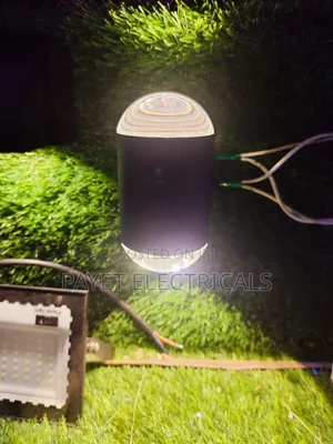 Lux Wall Light