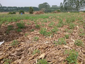 1,600acres of Land for Renting at Busunju Along Hoima Road V