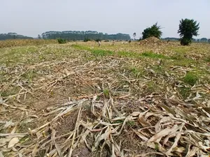 1,600acres of Land for Renting at Busunju Along Hoima Road V