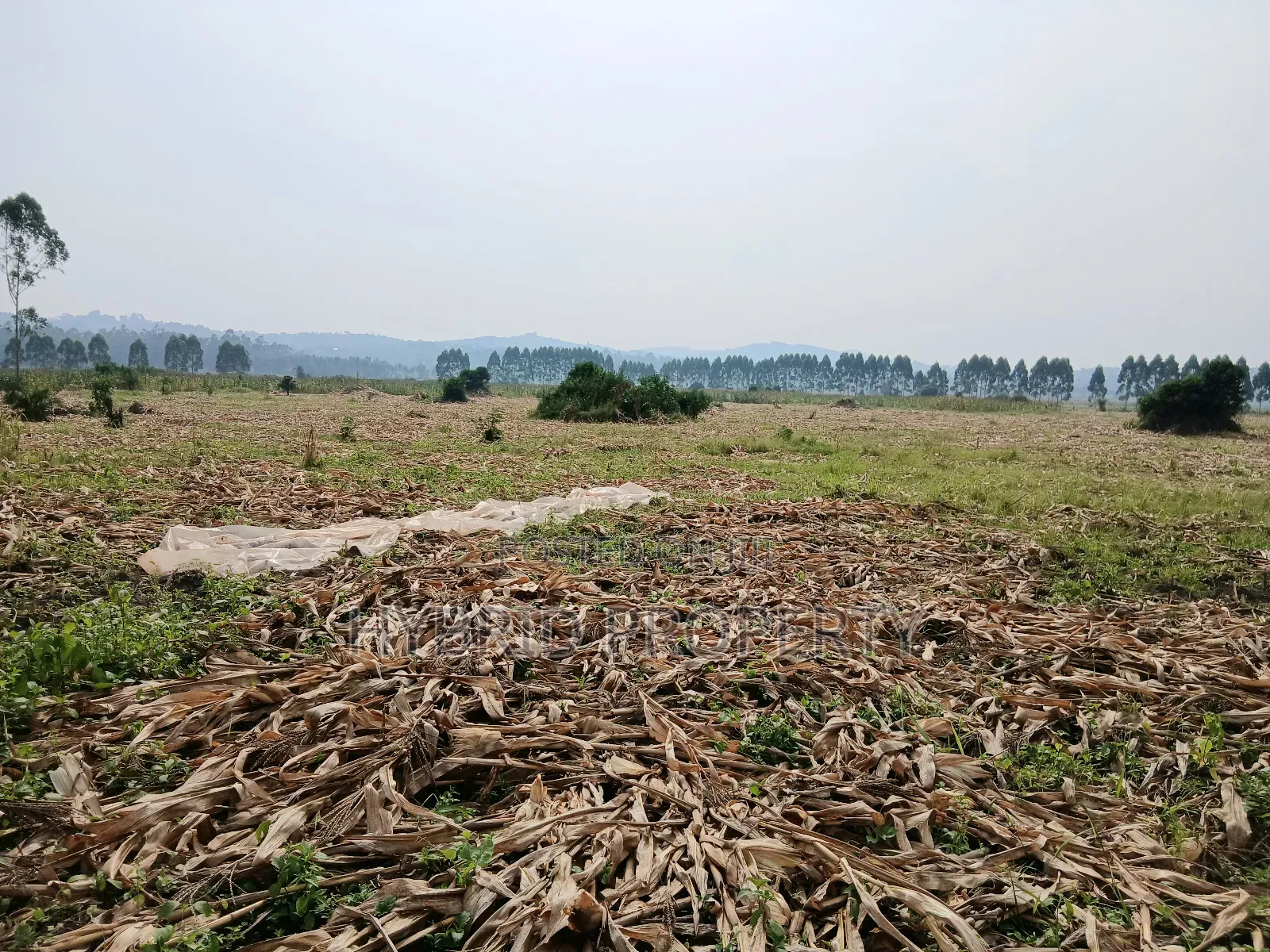 1,600acres of Land for Renting at Busunju Along Hoima Road V