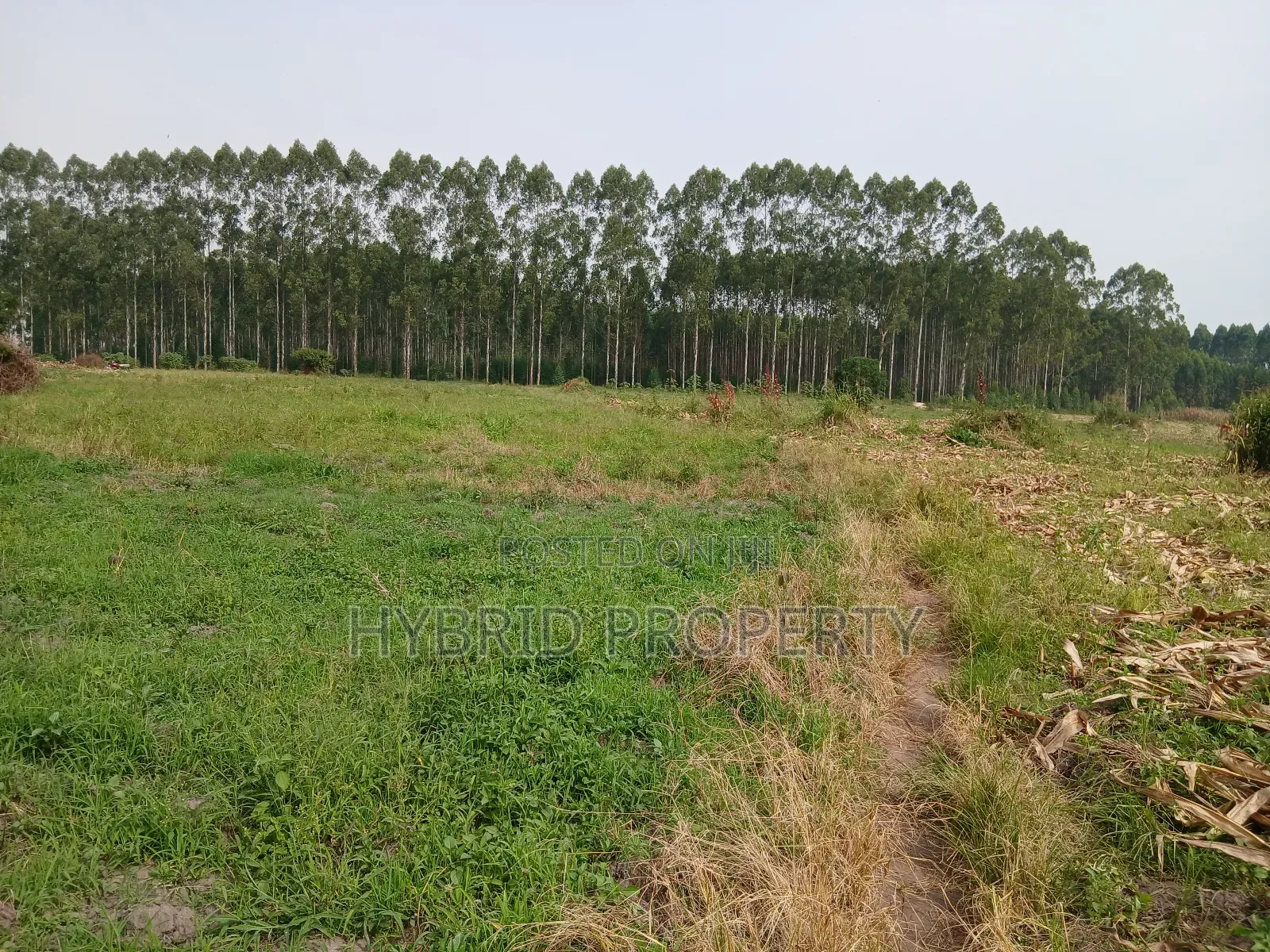 1,600acres of Land for Renting at Busunju Along Hoima Road V