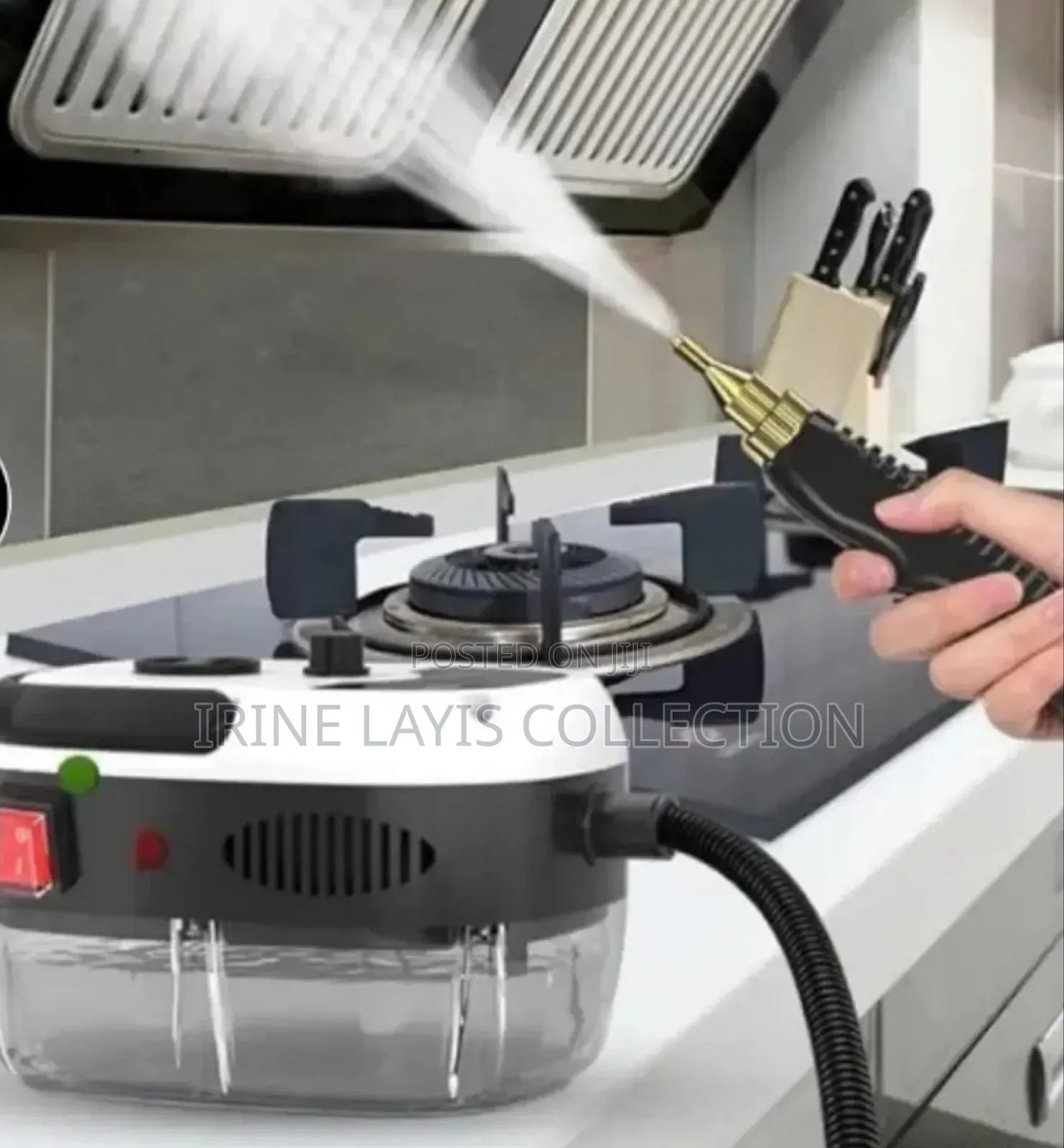 Portable, High-pressure Electric Steam Cleaner