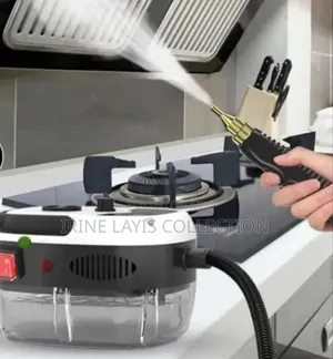 Portable, High-pressure Electric Steam Cleaner
