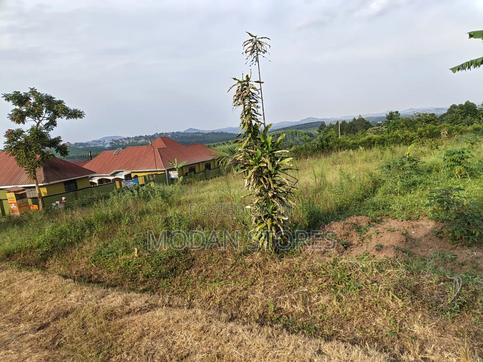 Titled Land at Jezza- Mityana Road