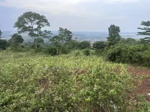 Private Mailo 50*100ft Plot With a Ready Title at Mbalala for Sale