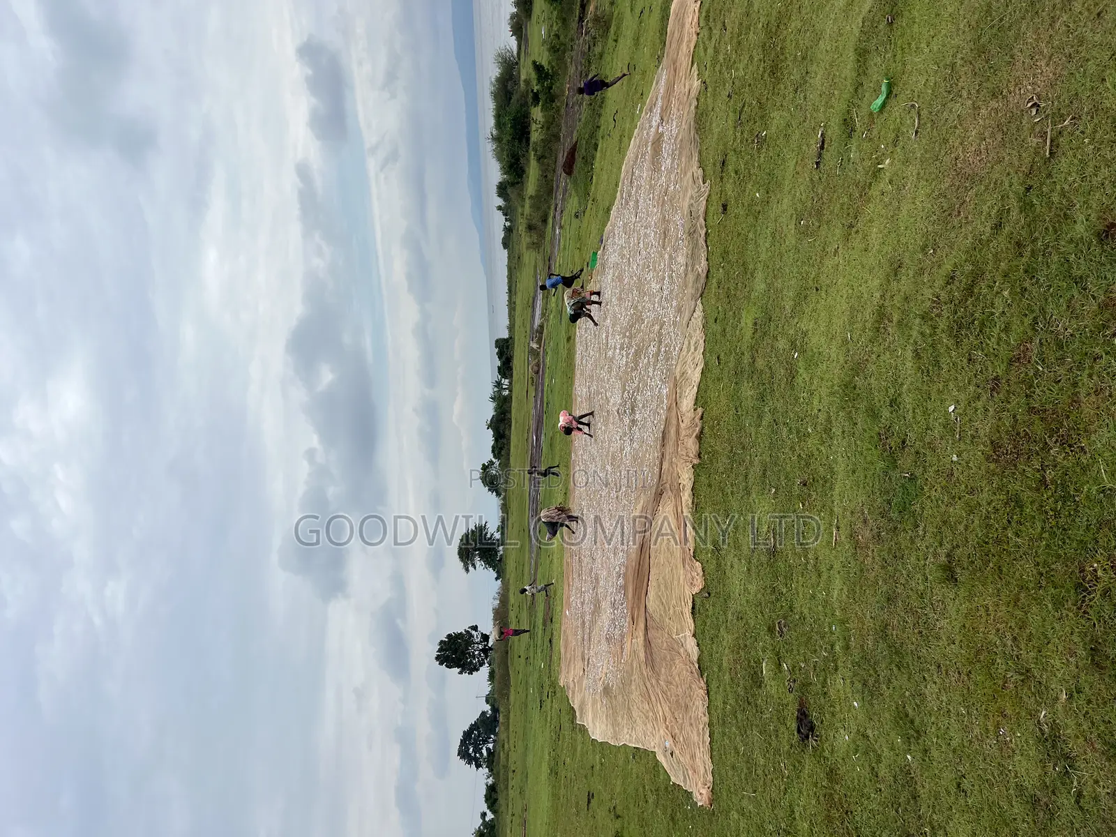 2 Acres of Land in Kihindi Nkokonjeru Touching on Lake Victoria