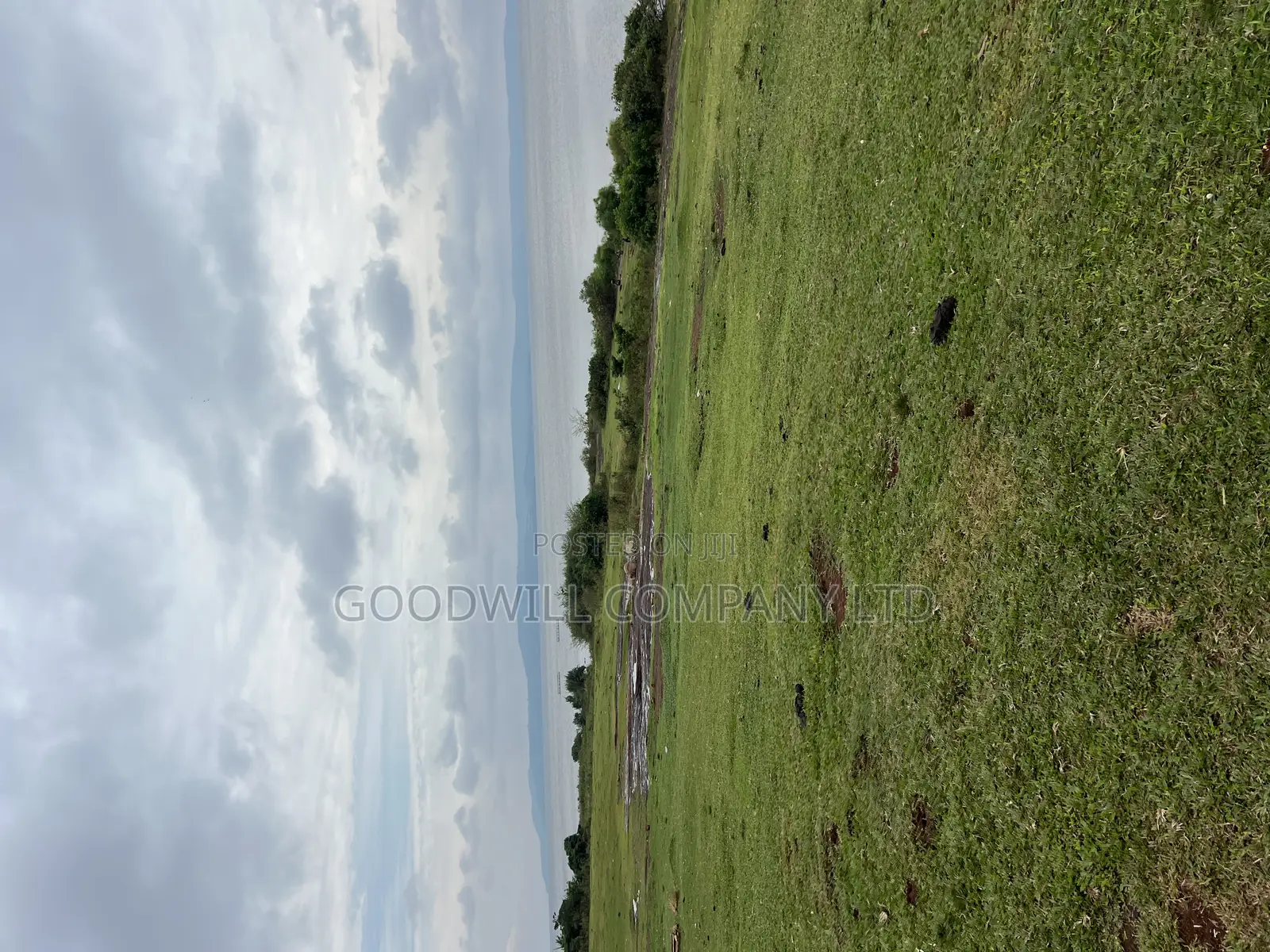 2 Acres of Land in Kihindi Nkokonjeru Touching on Lake Victoria