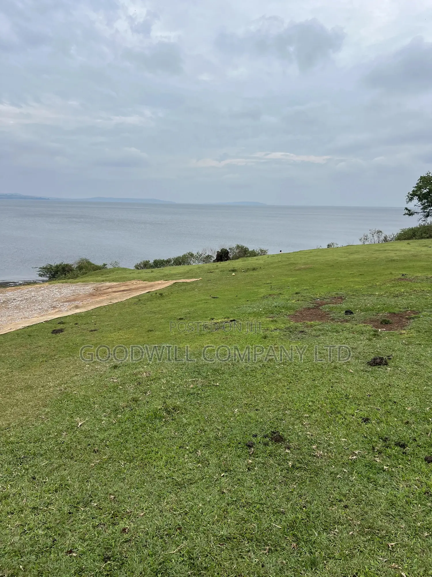 2 Acres of Land in Kihindi Nkokonjeru Touching on Lake Victoria