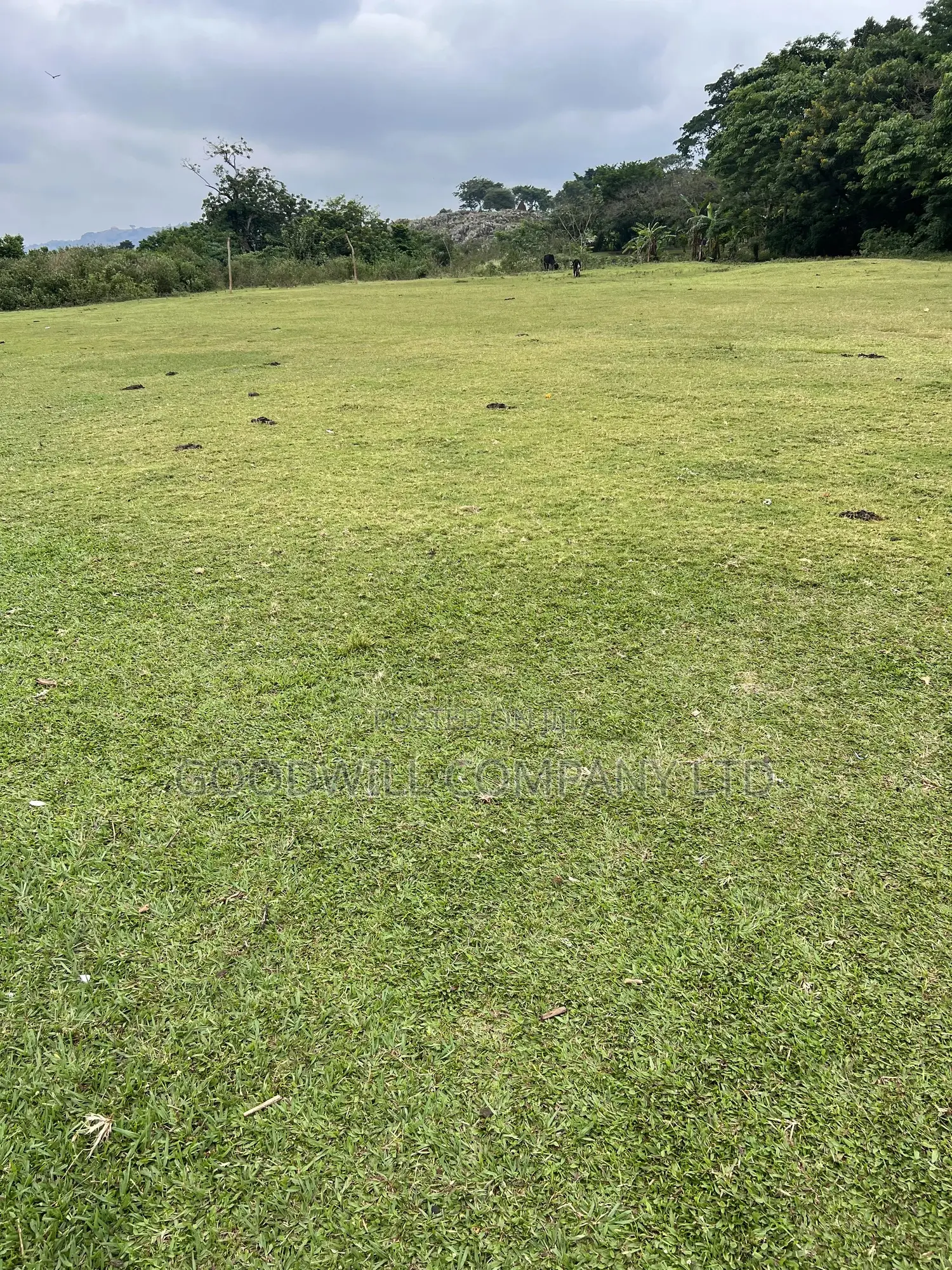 2 Acres of Land in Kihindi Nkokonjeru Touching on Lake Victoria