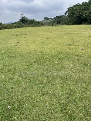 2 Acres of Land in Kihindi Nkokonjeru Touching on Lake Victoria
