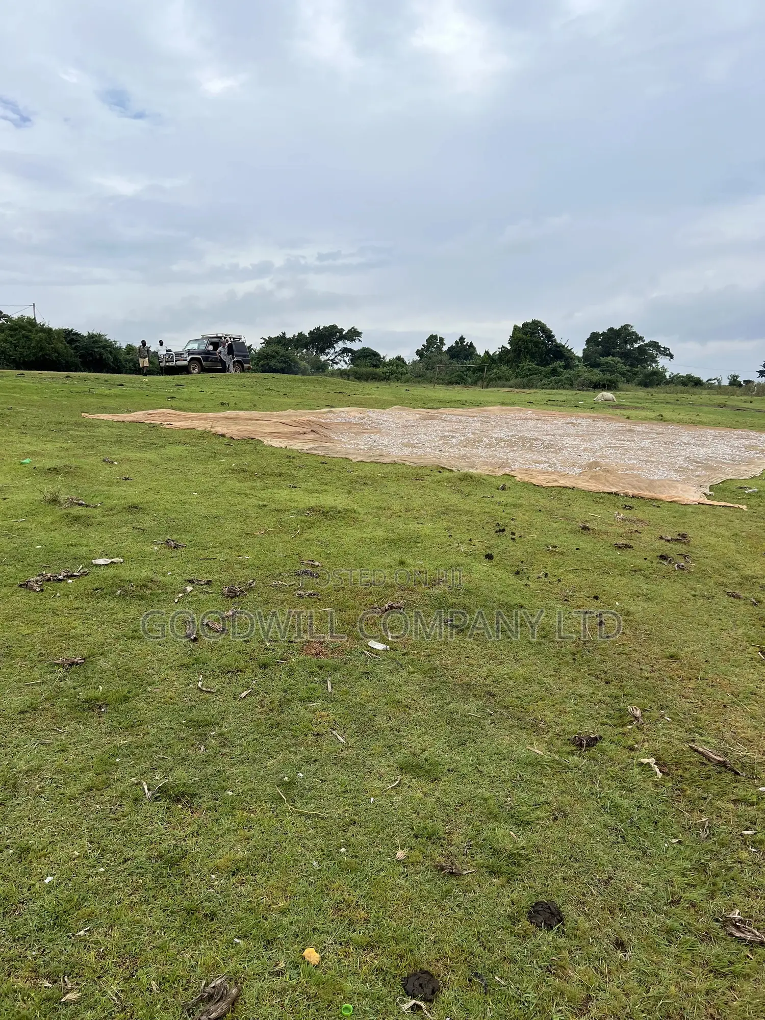 2 Acres of Land in Kihindi Nkokonjeru Touching on Lake Victoria