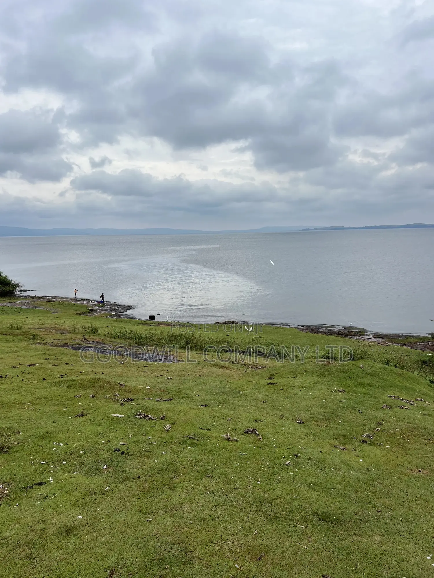 2 Acres of Land in Kihindi Nkokonjeru Touching on Lake Victoria