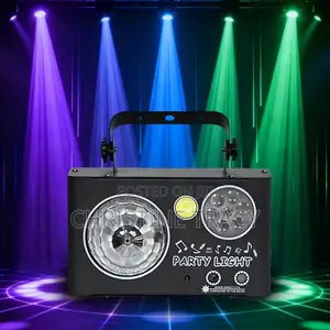 Led Party Light