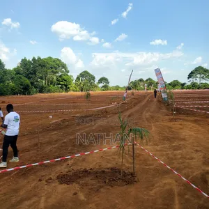 Kadaama Cit Ne Century Property Real Estate LTD