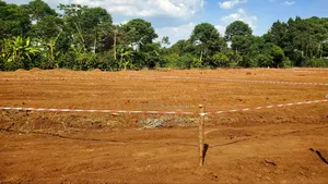 Kadaama Cit Ne Century Property Real Estate LTD