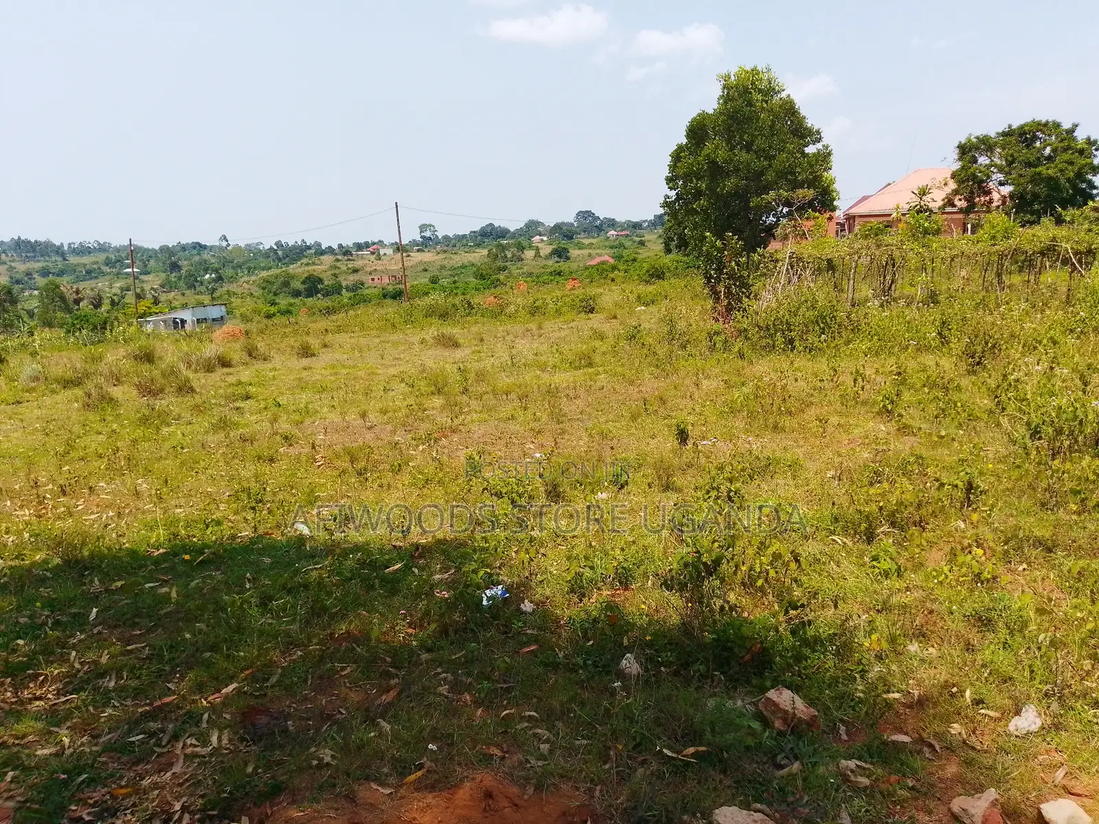Land for Sale 50 by 100ft in Estate in Kasanje Bulumbu Quick