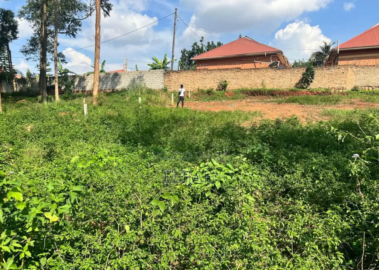 Quick Sale Land In Mukono Kisooga