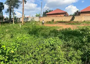 Quick Sale Land In Mukono Kisooga