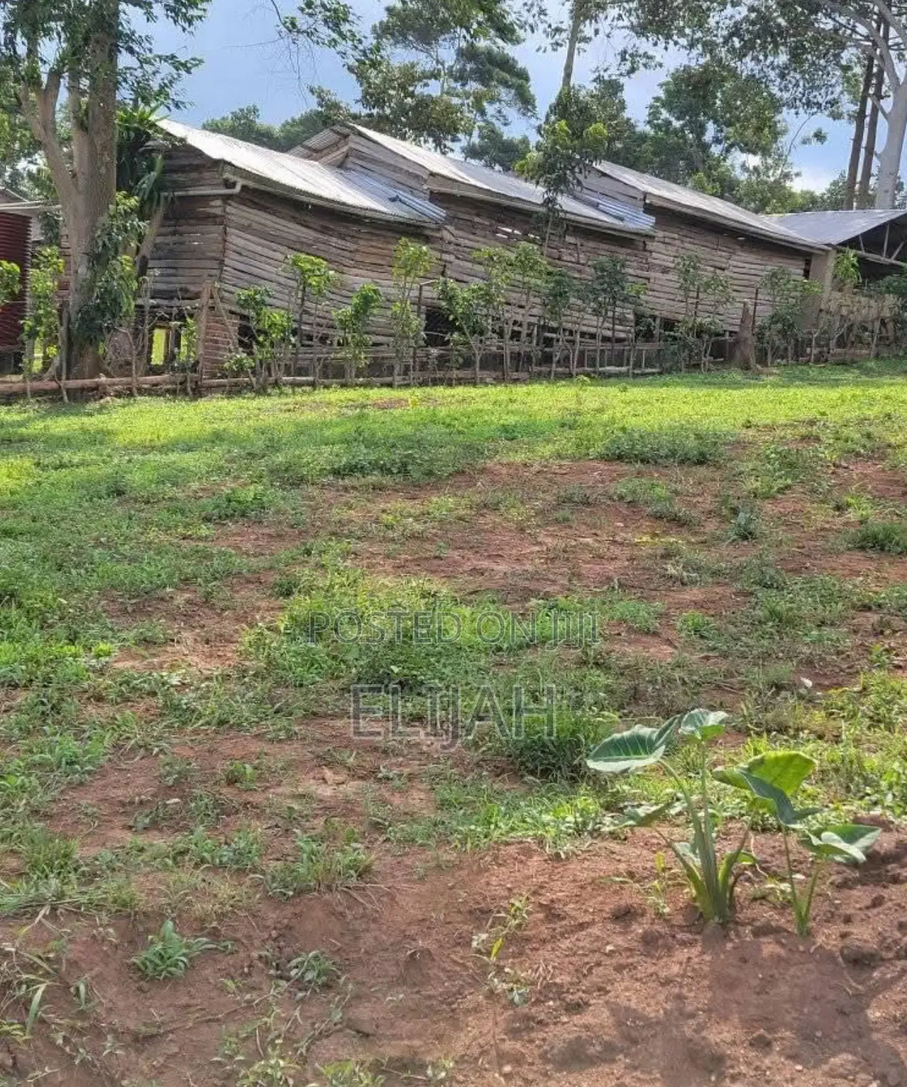 Quick Sale Land In Mukono Kisooga