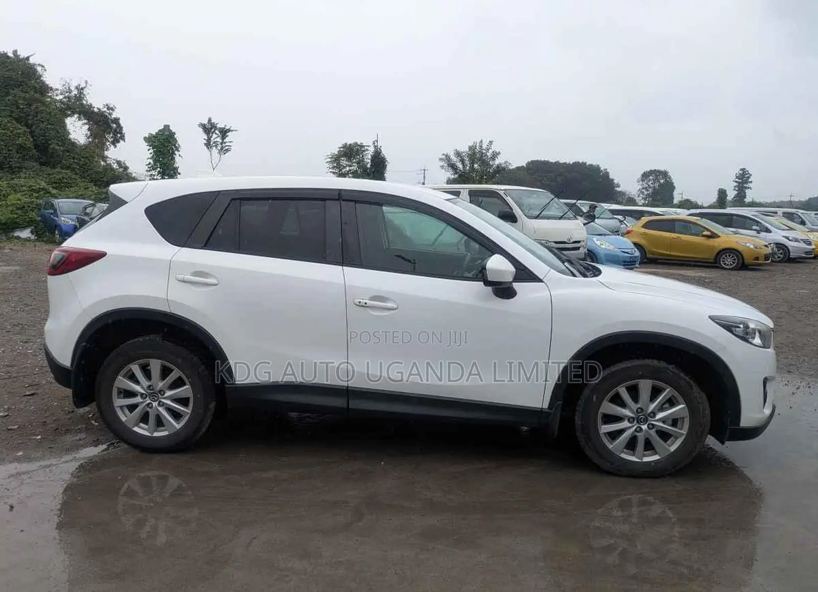 Mazda CX-5 2.2 Diesel AWD 2013 Pearl
