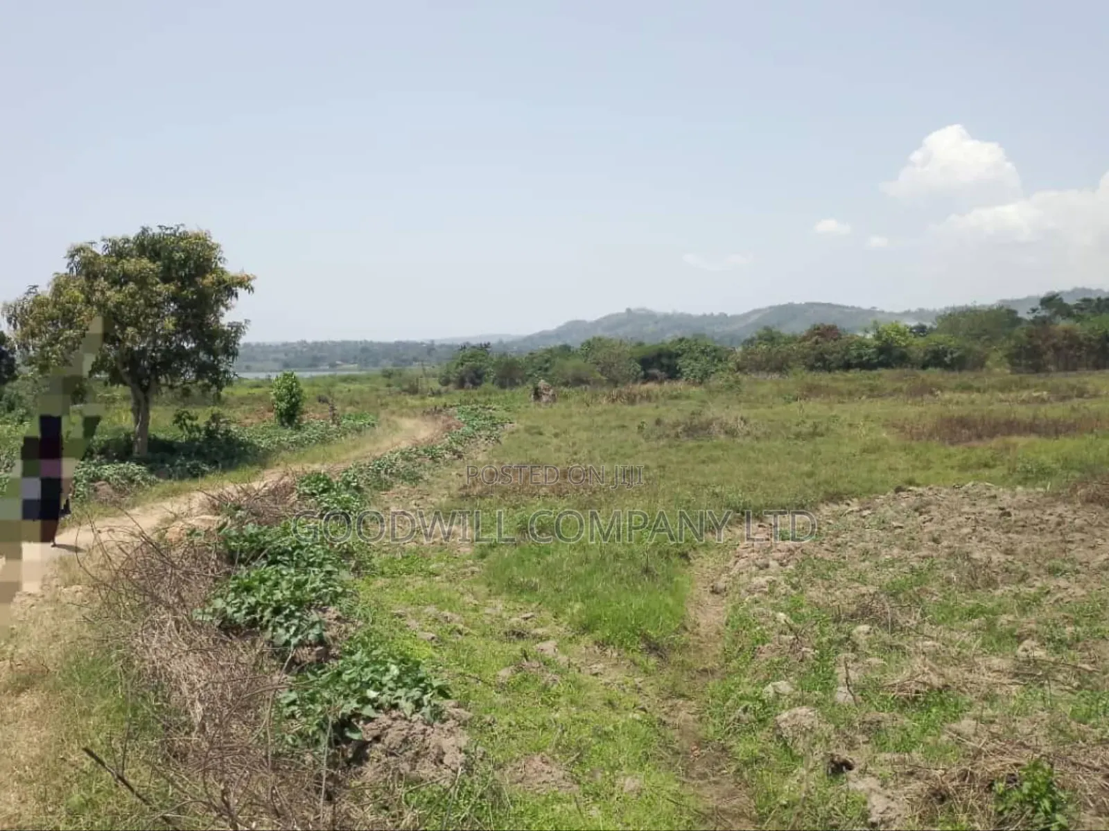 5 Acres to 50 Acres of Land on Lake in Buwoya Nkokonjeru Katosi Road