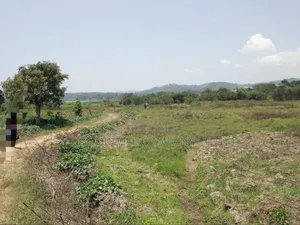 5 Acres to 50 Acres of Land on Lake in Buwoya Nkokonjeru Katosi Road