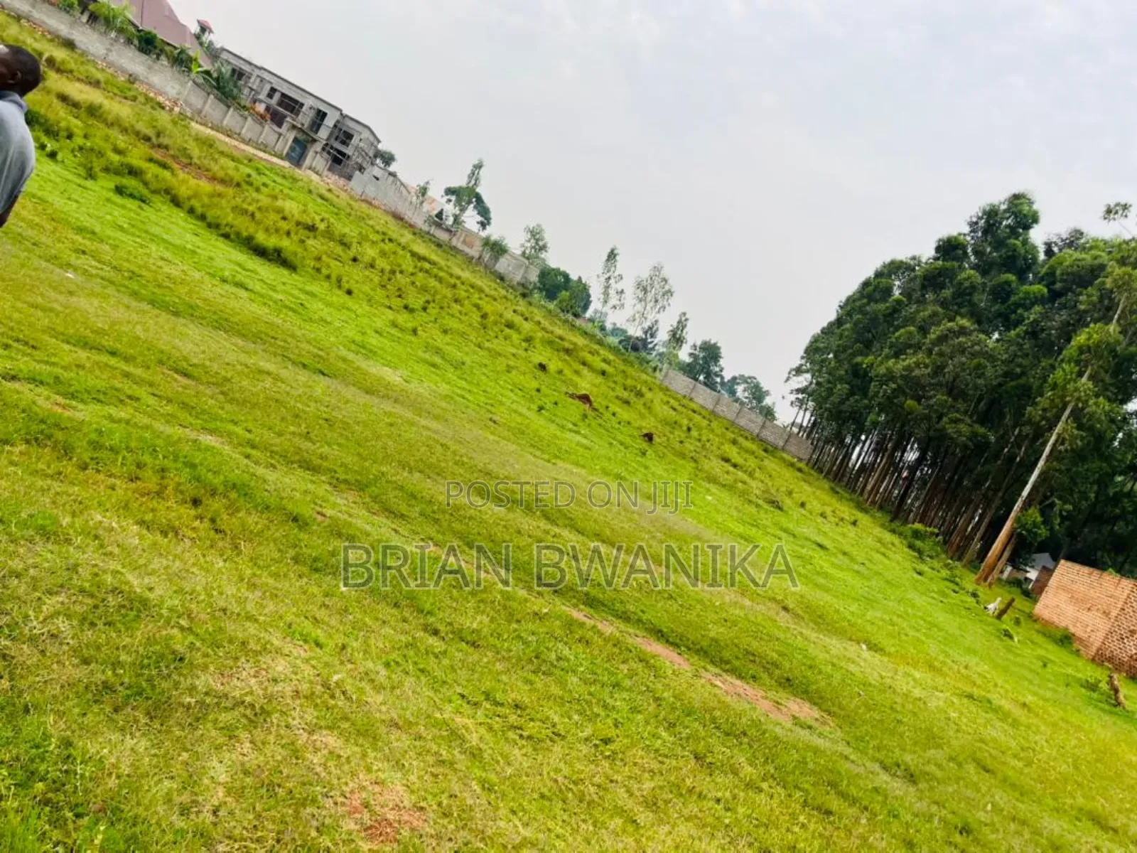 50*120 Titled Plot of Land in Nakwero Along Gayaza Road, 200m Away