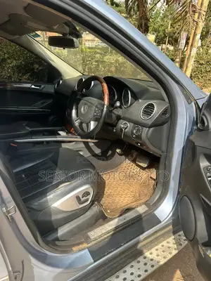 Mercedes-Benz M Class 2008 Blue