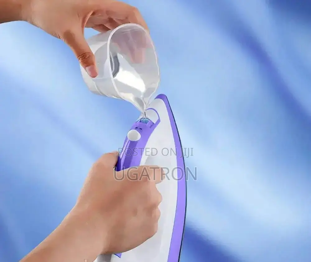 Electric Steam Iron