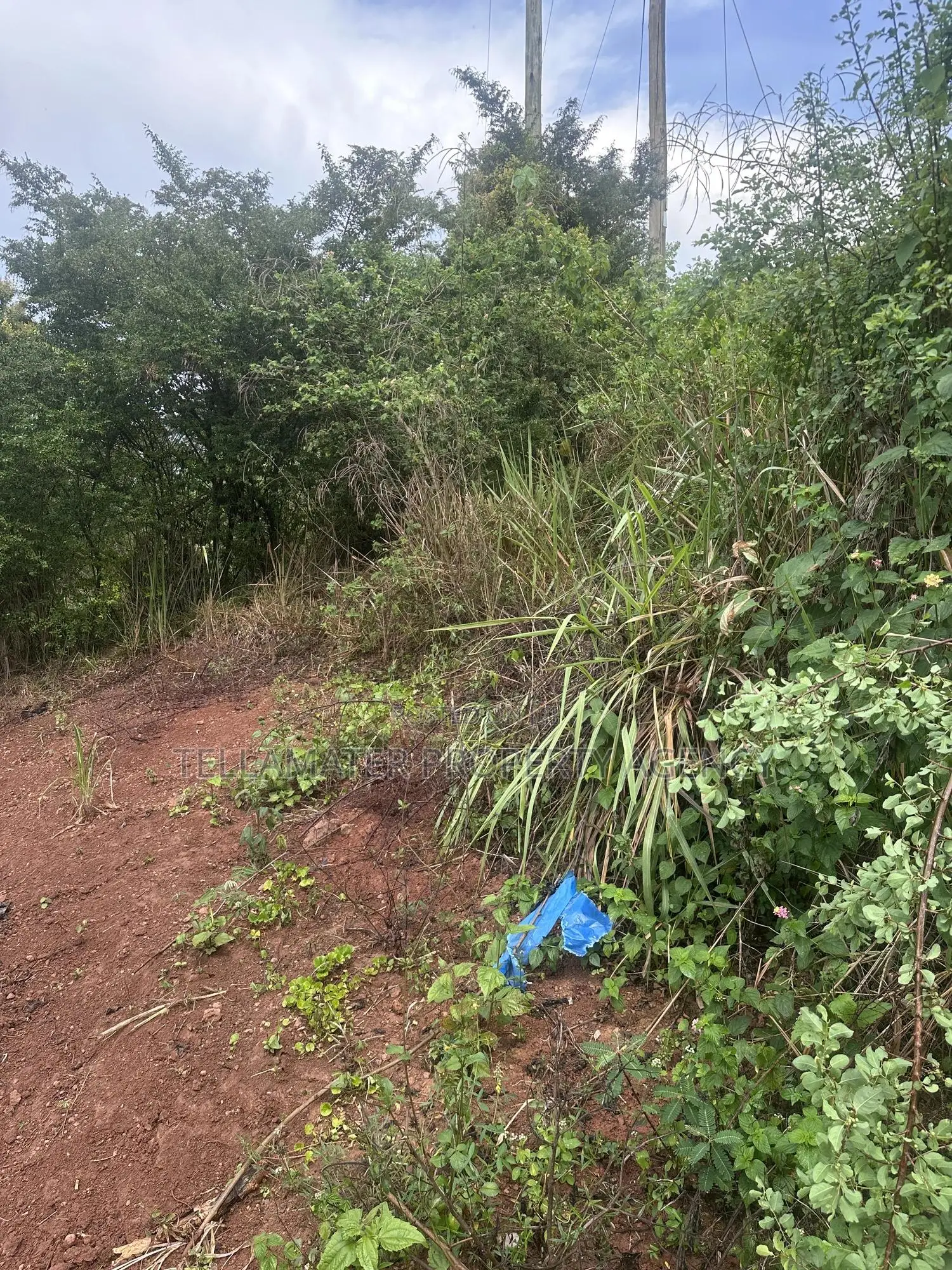 Private Mailo 50*100ft Plot With a Ready Title at Mbalala for Sale