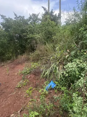 Private Mailo 50*100ft Plot With a Ready Title at Mbalala for Sale