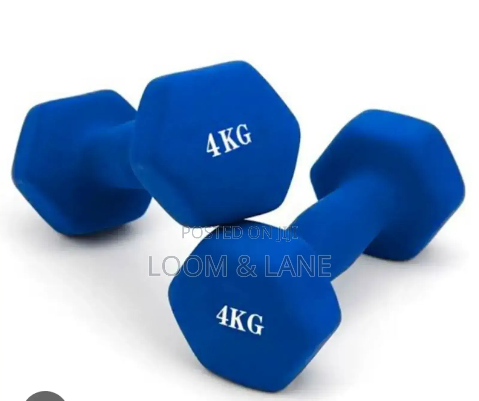 4 Kg Pair Vinyl-Coated Dumbbells