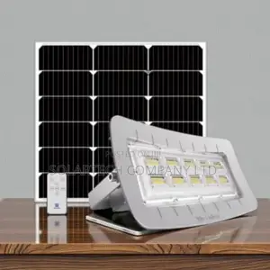 Blue Carbon 100w Radar Sensor Solar Floodlight