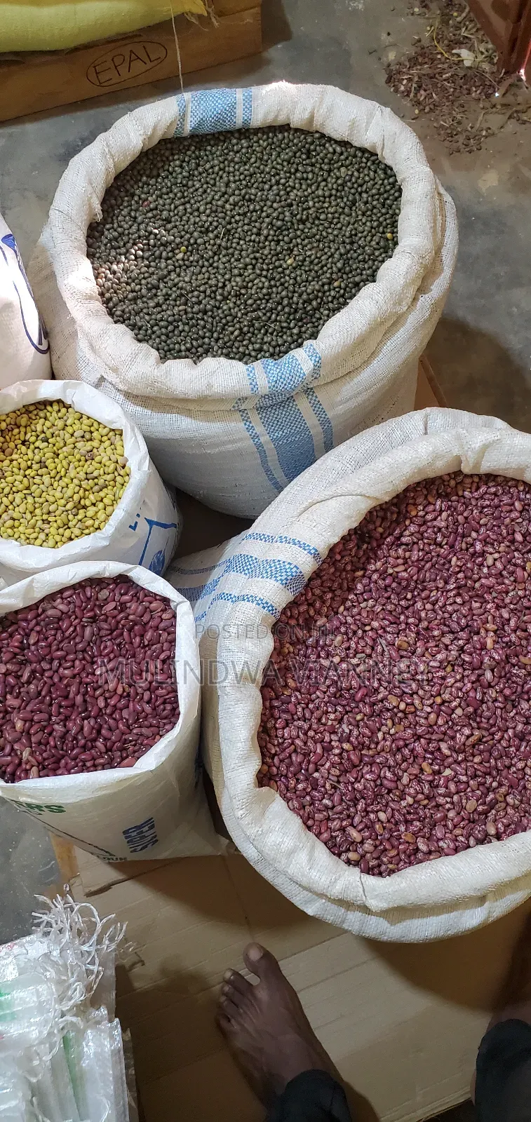 Quality Dry Beans for Sale – Affordable Prices