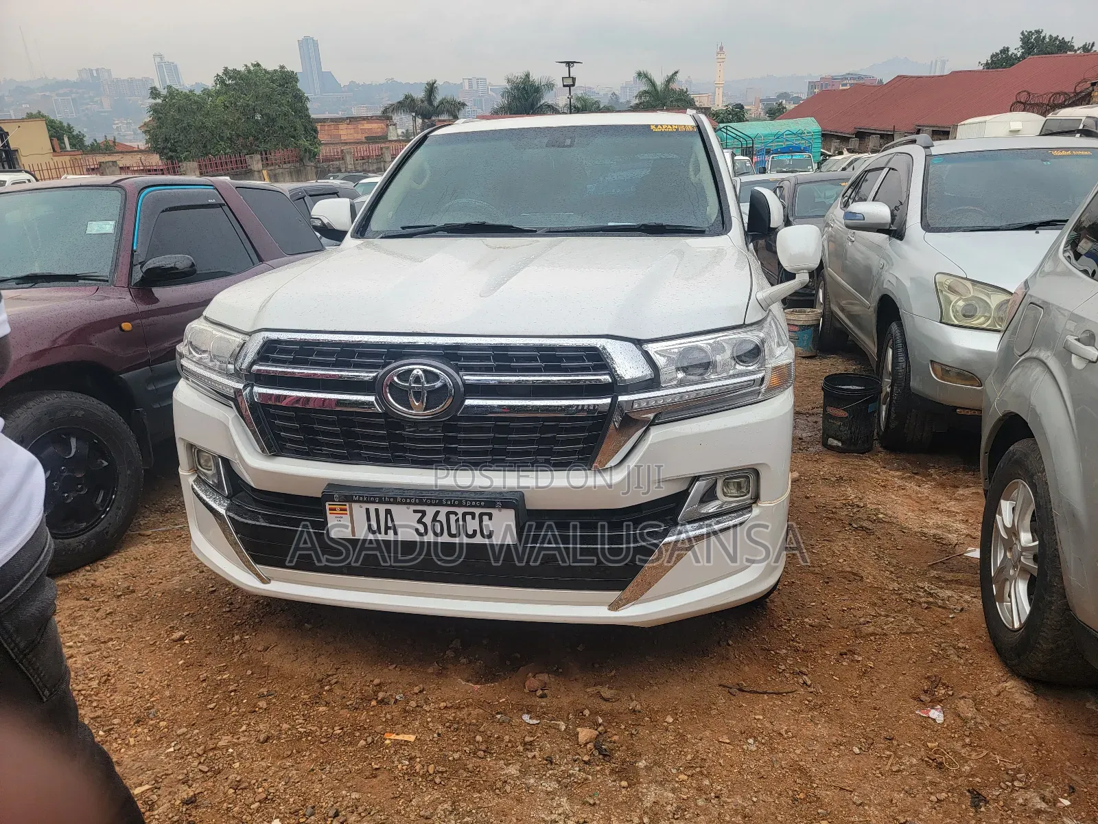 Toyota Land Cruiser 2013 White