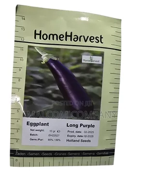 Egg Plant Seeds, Long Purple 10g
