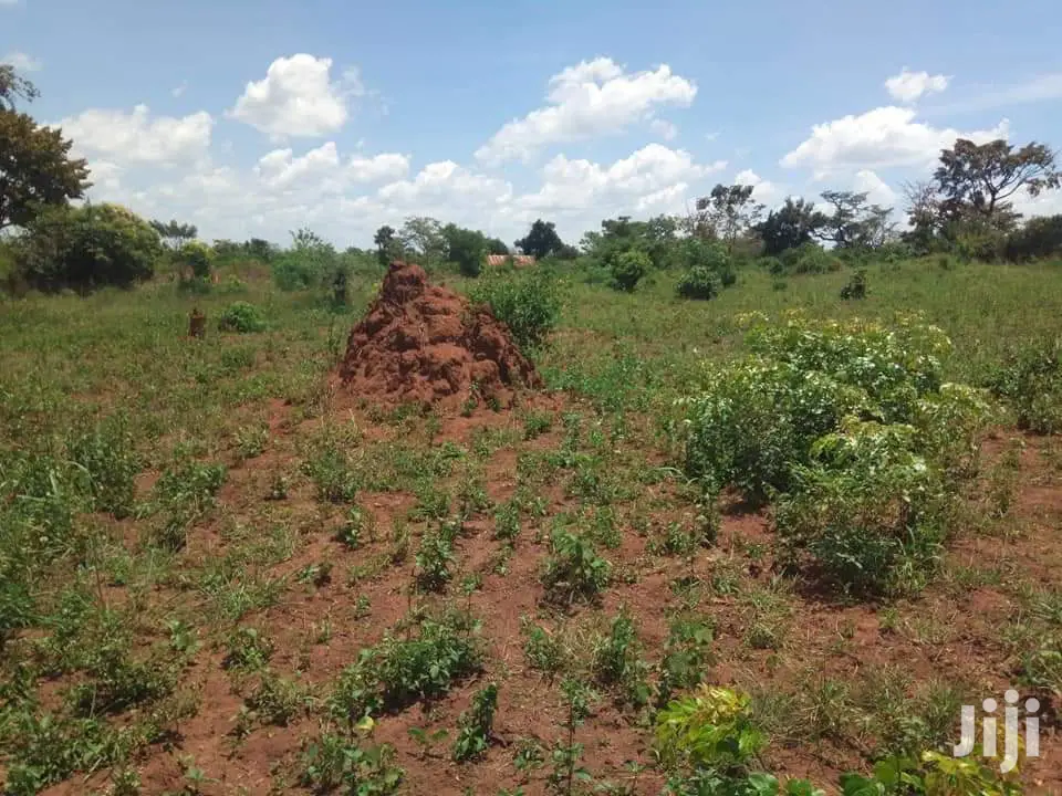400 Acres Land in Luwero Kikyusa for Sale in Kampala Land & Plots for