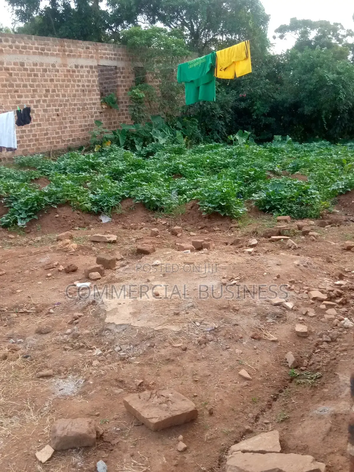 Land for Sale