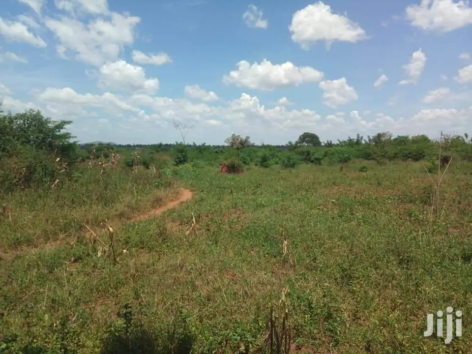 400 Acres Land in Luwero Kikyusa for Sale in Kampala Land & Plots for Sale, Buy Uganda Build