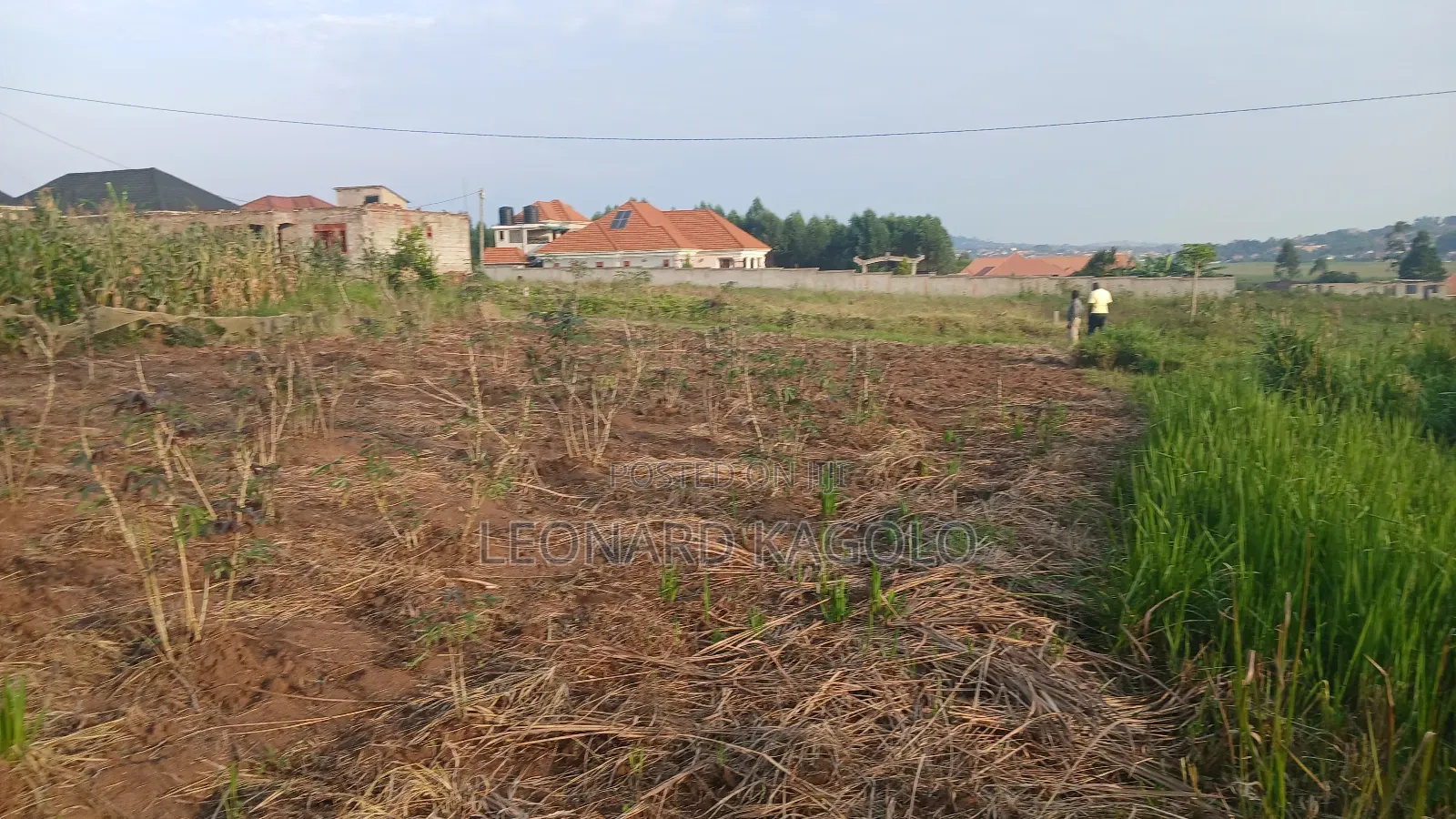 Residential Plot on Sale at Katereke
