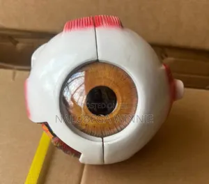 The Eye Teaching Model
