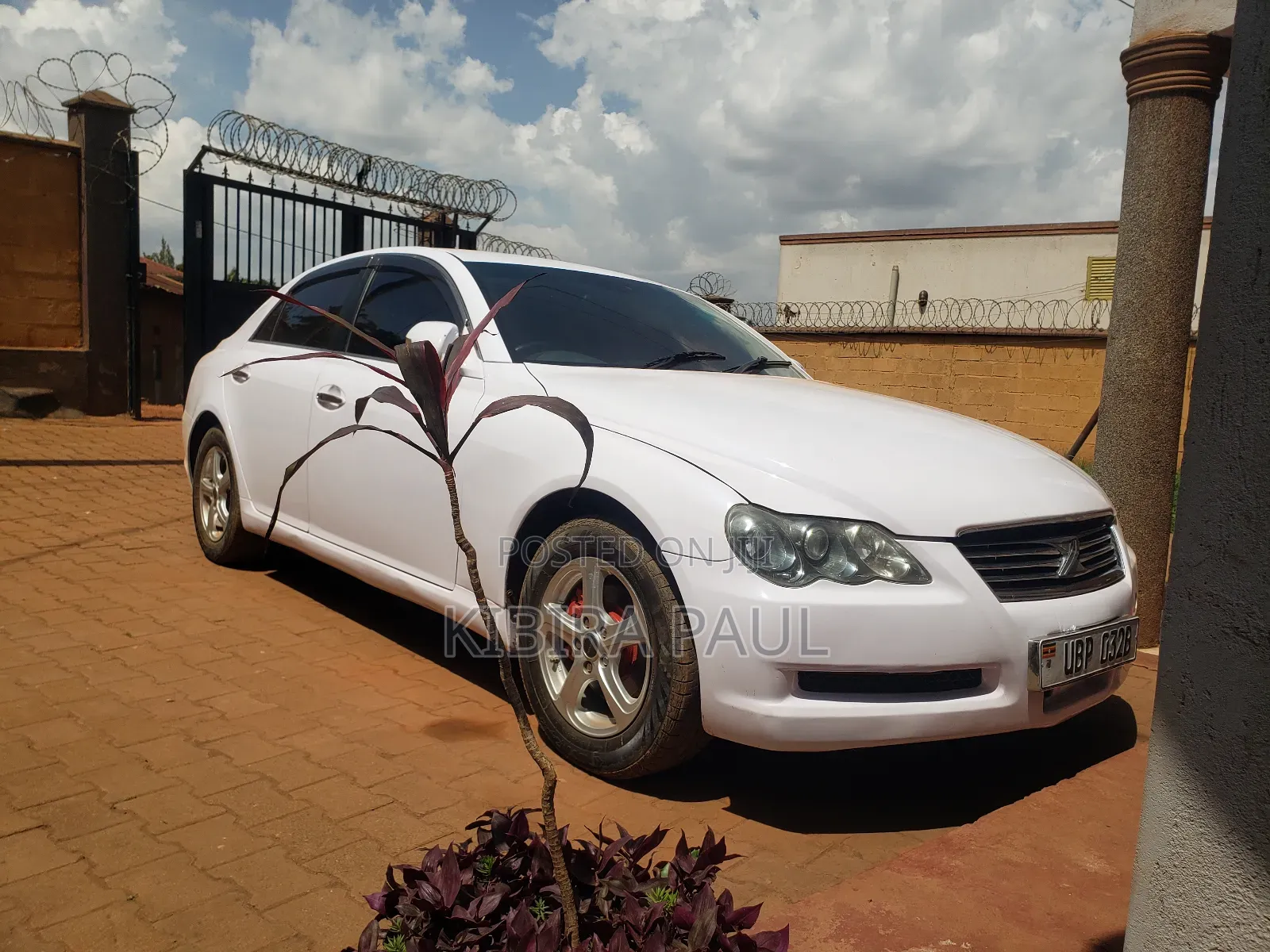 Toyota Mark X Zio 2008 White