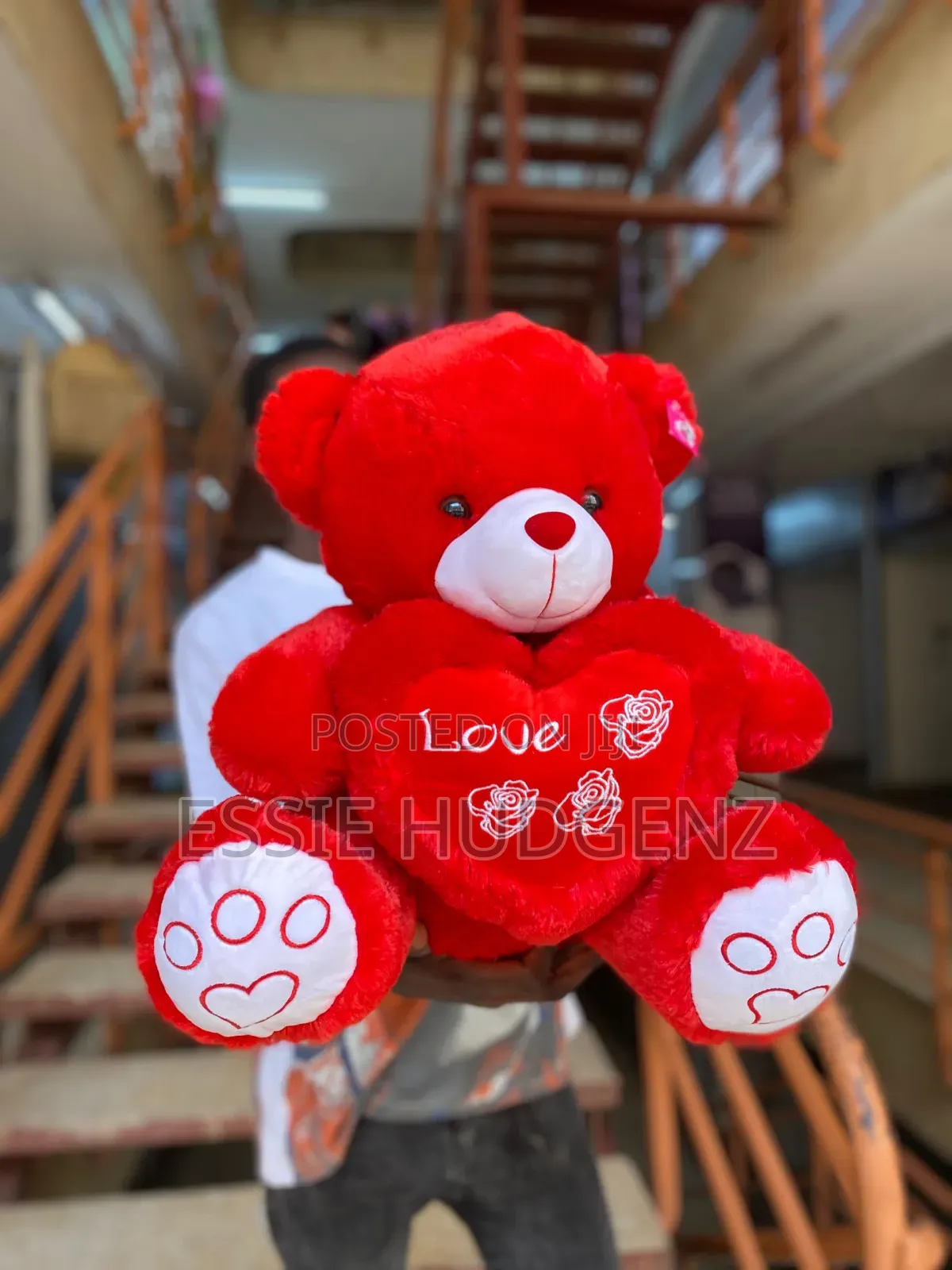 Plush New Bears