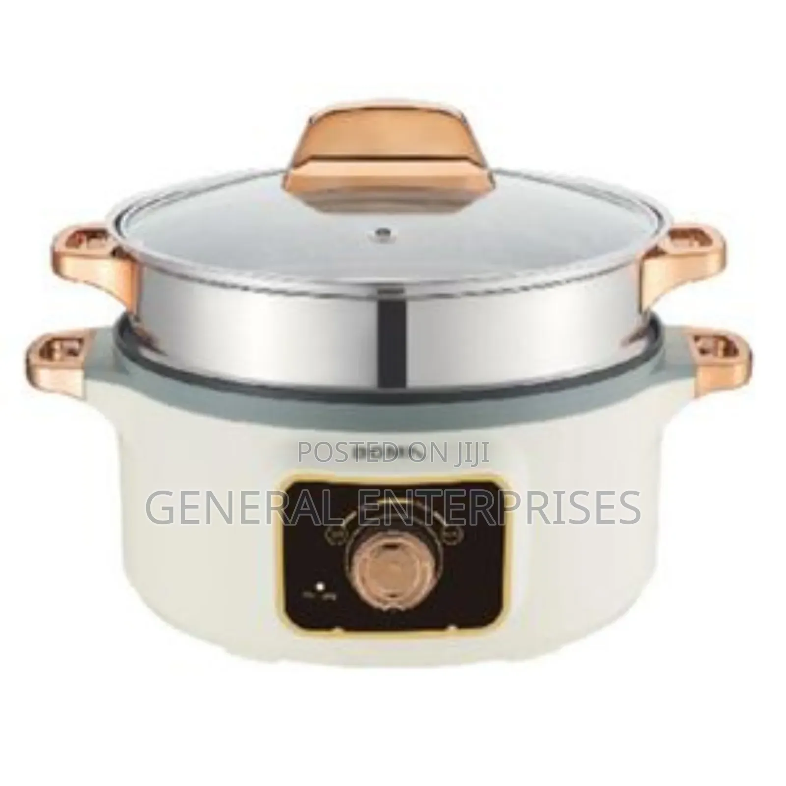 Electric Food Steamer/Hot Pot