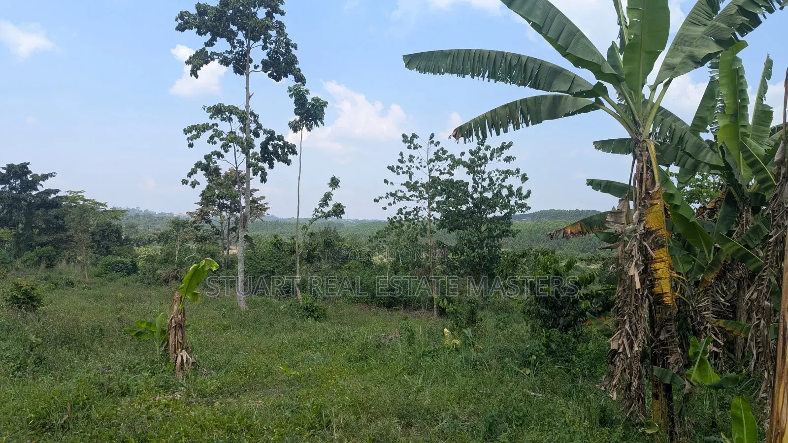 Land for Sale at Kabembe
