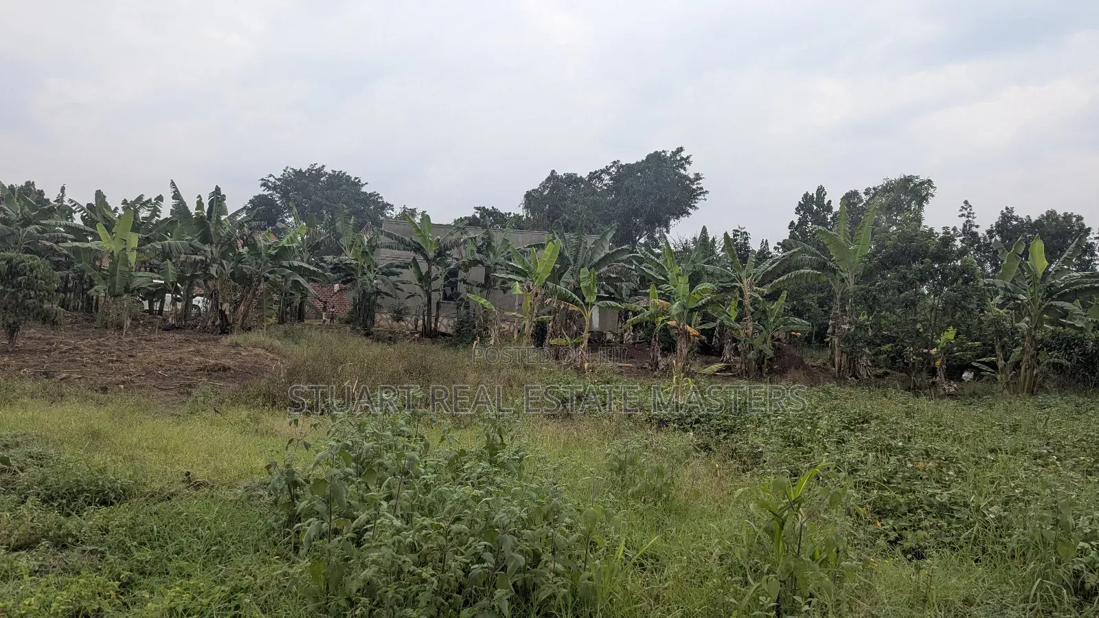 Land for Sale at Kabembe