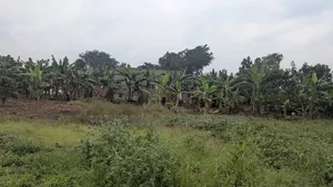 Land for Sale at Kabembe
