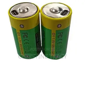 Type-C Rechargeable Lithium Battery