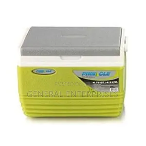 4.5l Ice Cooler