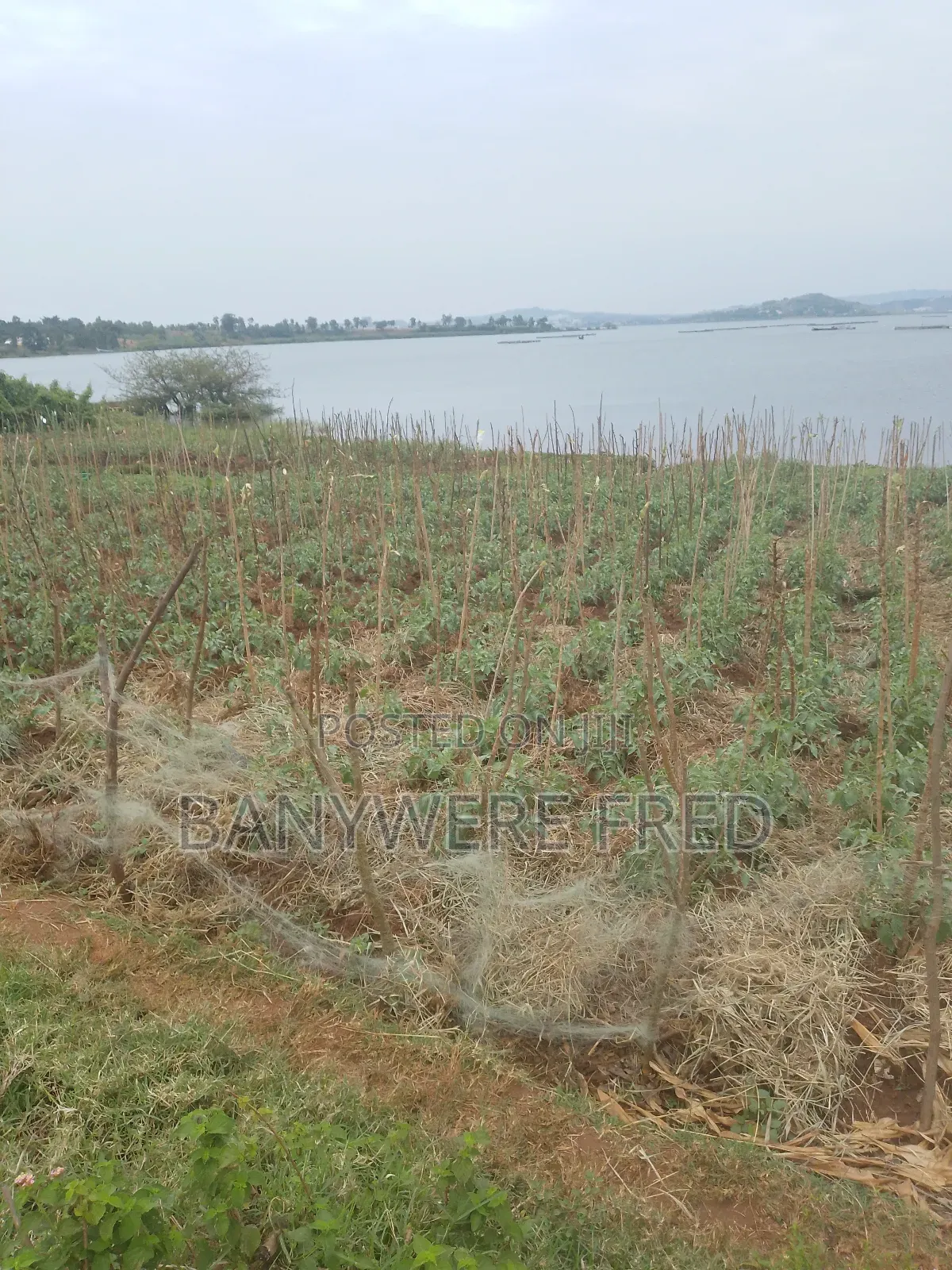 1.5 Acres of Land for Sale